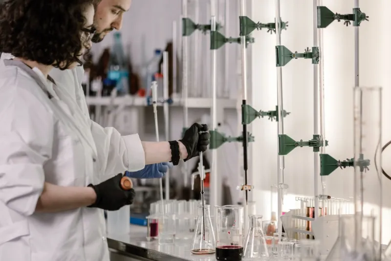What Canadian Scientists Are Finding Inside Your Barley Tea Cup